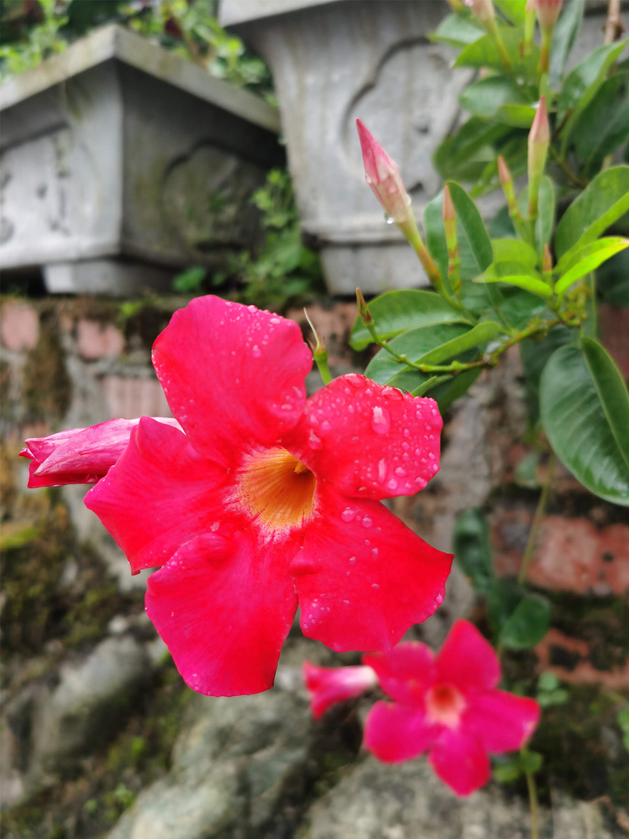 雨后——四川成渝高速公路股份有限公司成渝分公司唐艳_副本