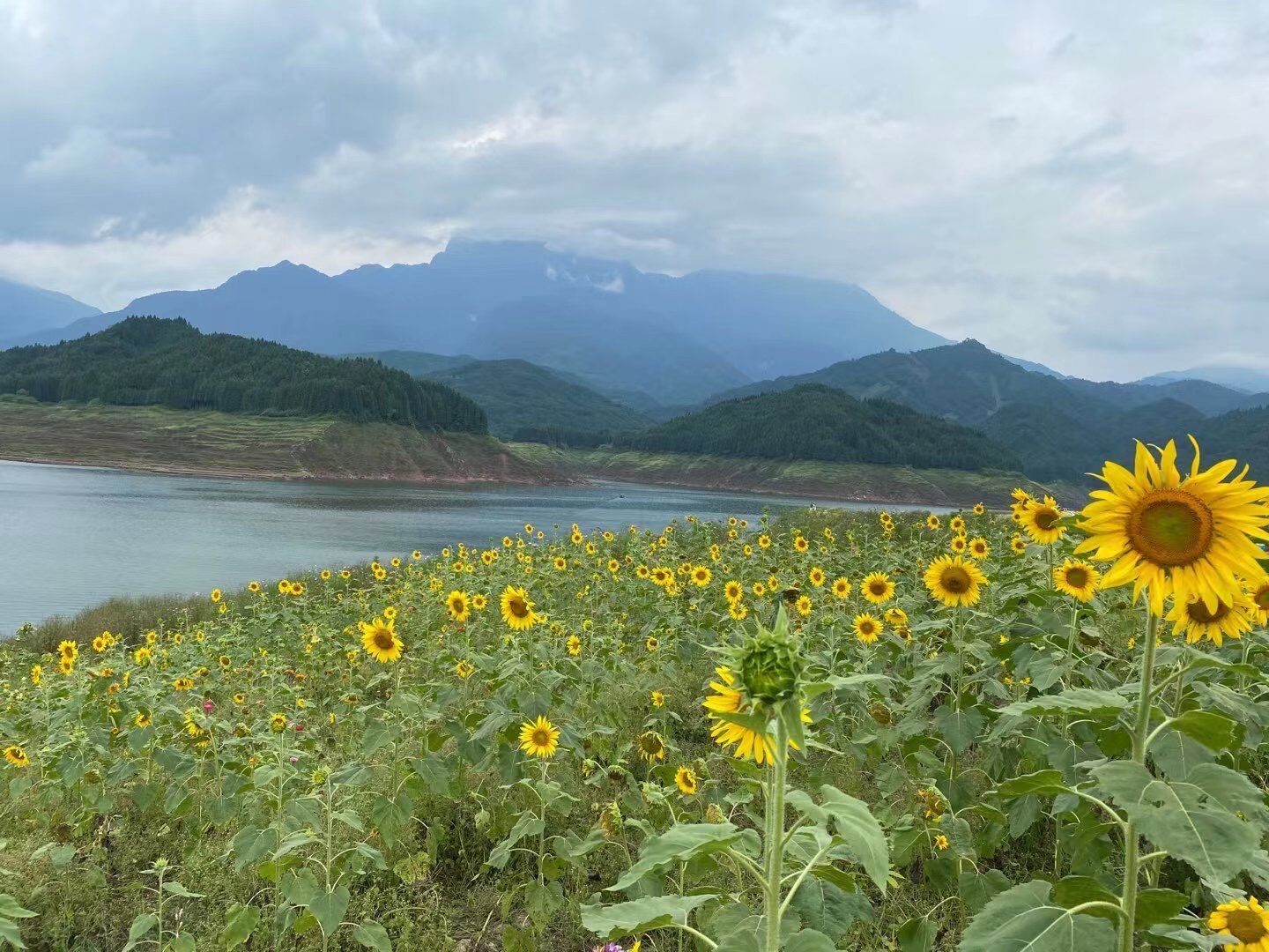 生机——四川成渝高速公路股份有限公司成渝分公司简俊