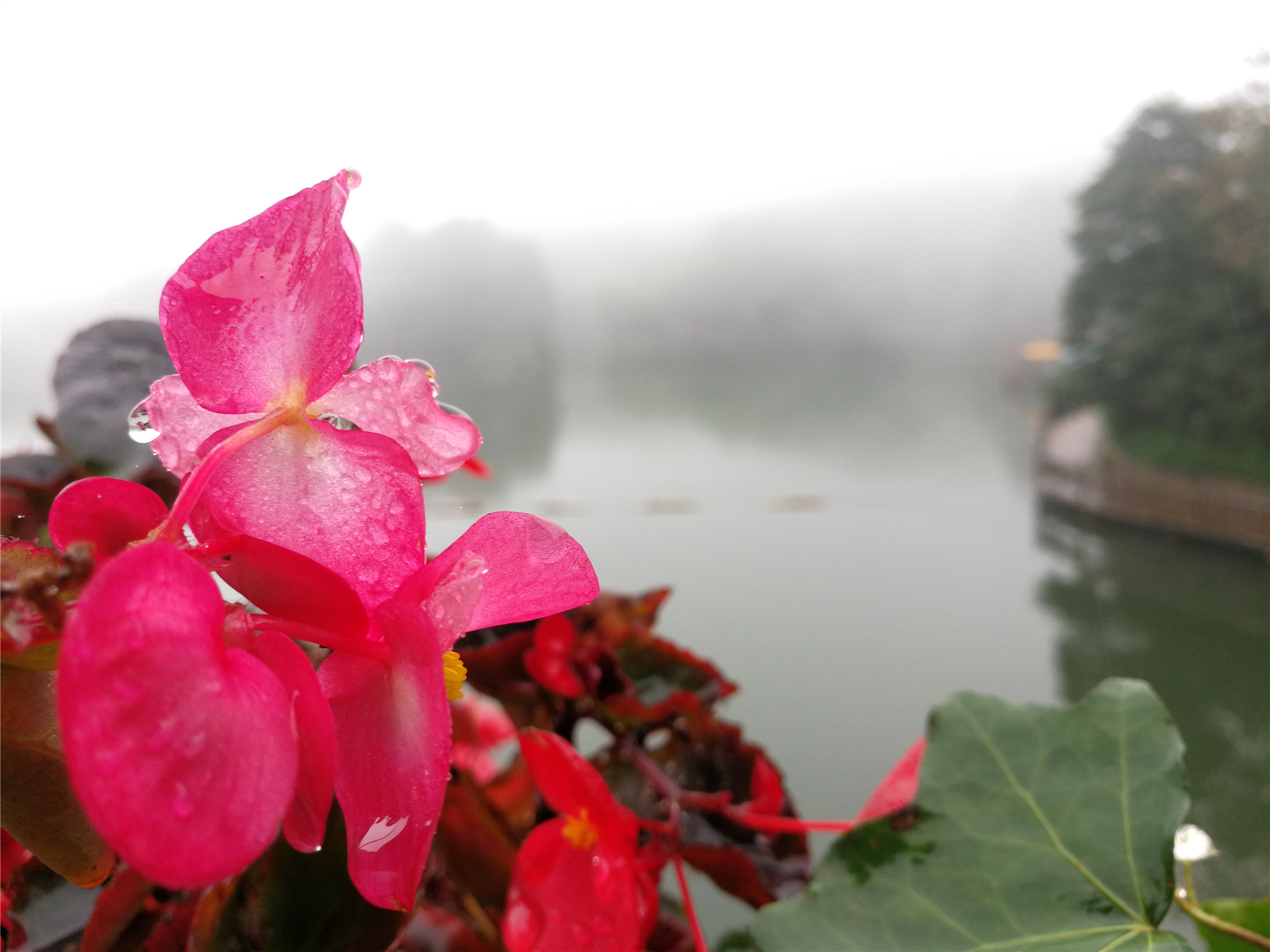 雨后绽放的美丽——四川成渝高速公路股份有限公司成渝分公司孙东华_副本