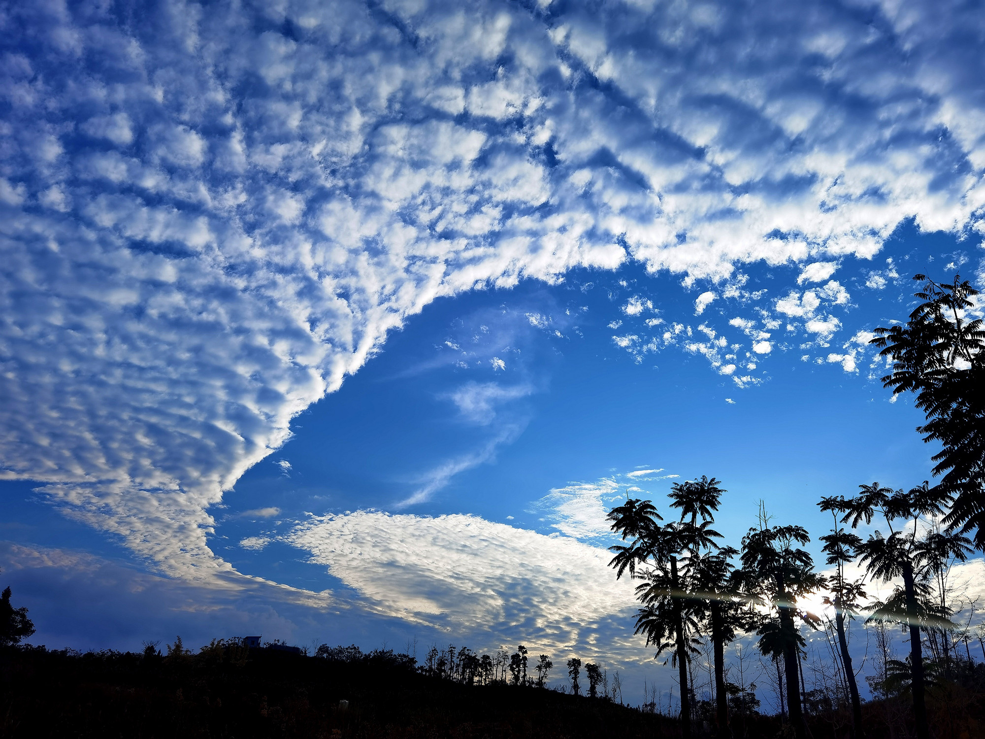 云海浩瀚+四川成渝高速公路股份有限公司成渝分公司资阳管理处+邹丽_副本