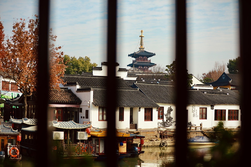 满园春色关不住——四川成渝高速公路股份有限公司成渝分公司钟梦影_副本