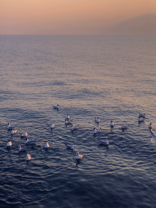 闲适——四川成渝高速公路股份有限公司成渝分公司雷雅君_副本