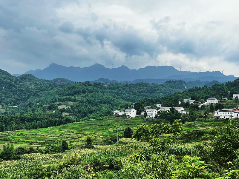 山野间——四川成渝高速公路股份有限公司成渝分公司方媛_副本
