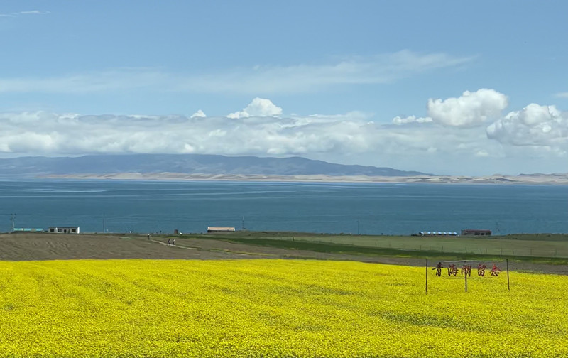 580、那一抹黄+四川成渝高速公路股份有限公司成渝分公司资阳管理处+邓丽艳_副本