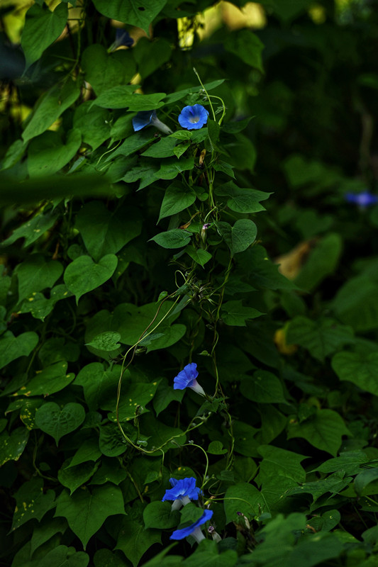 614、生命+四川成渝高速公路股份有限公司成渝分公司资阳管理处+王燕_副本