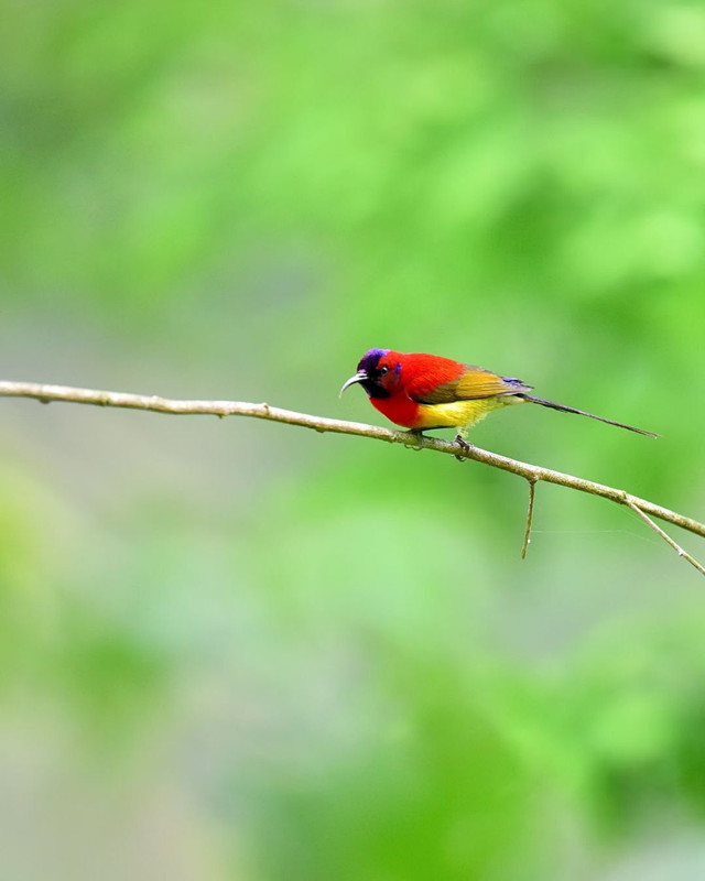 精灵——四川成渝高速公路股份有限公司成渝分公司陈节_副本