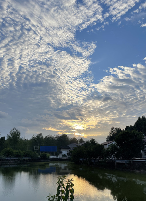 644、夕阳无限好，只是近黄昏+四川成渝高速公路股份有限公司成渝分公司资阳管理处+陈晓柯_副本