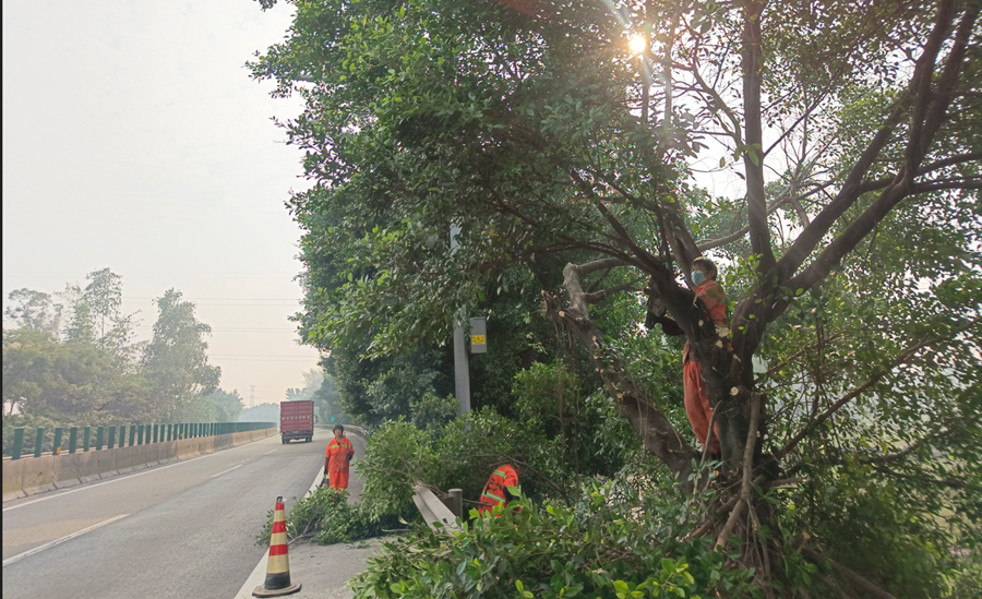 2022.12.19+成渝分公司+内江管理处完成监控二期绿化剪枝工作+李刘勇