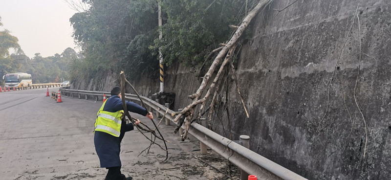12.20+周知+成渝高速公路鱼溪收费站快速处置倒伏树木