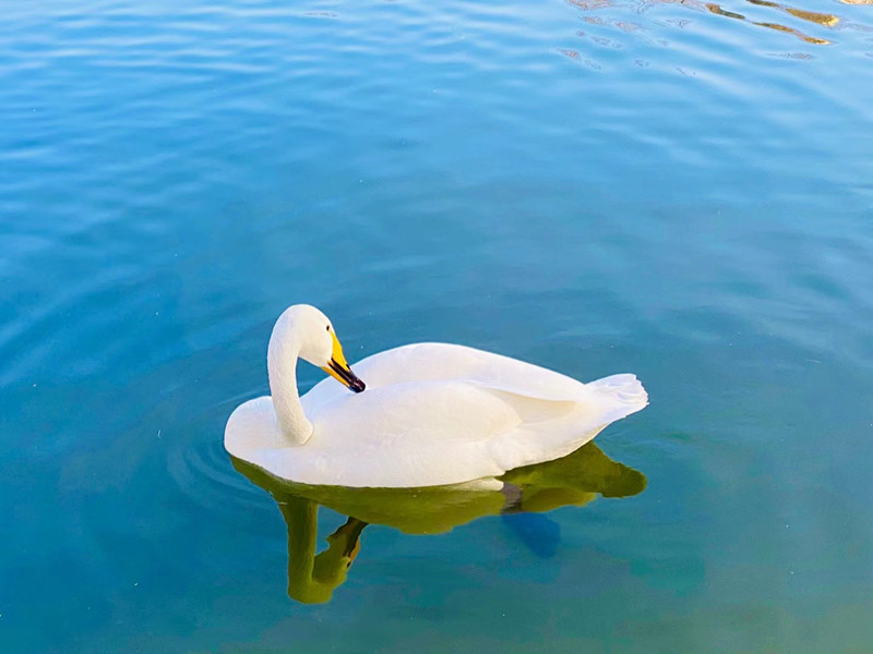 静—四川成渝高速公路股份有限公司成渝分公司廖琴_副本