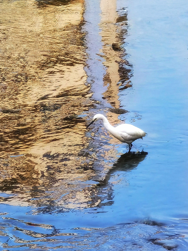 133、探索+四川成渝高速公路股份有限公司成渝分公司资阳管理处+贺晓_副本