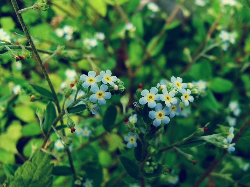 194、小清新+四川成渝高速公路股份有限公司成渝分公司资阳管理处+邹丽_副本