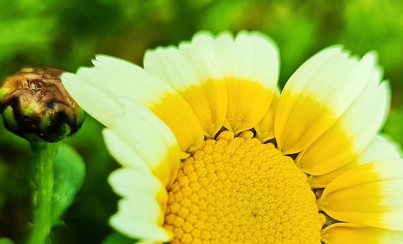 蕊—四川成渝高速公路股份有限公司成渝分公司廖小波_副本