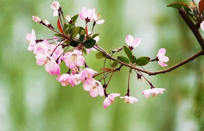 雨后展新颜——四川成渝高速公路股份有限公司成渝分公司吴先菊_副本