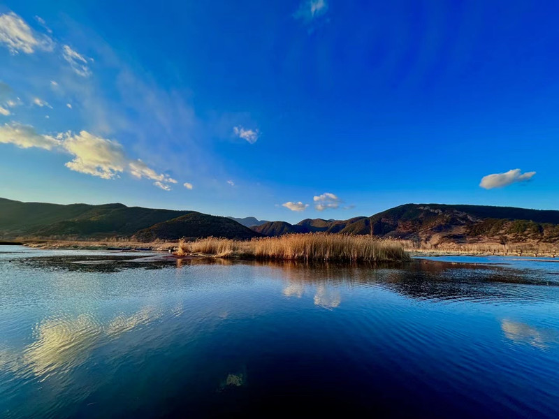 蓝——四川成渝高速公路股份有限公司成渝分公司罗颖_副本