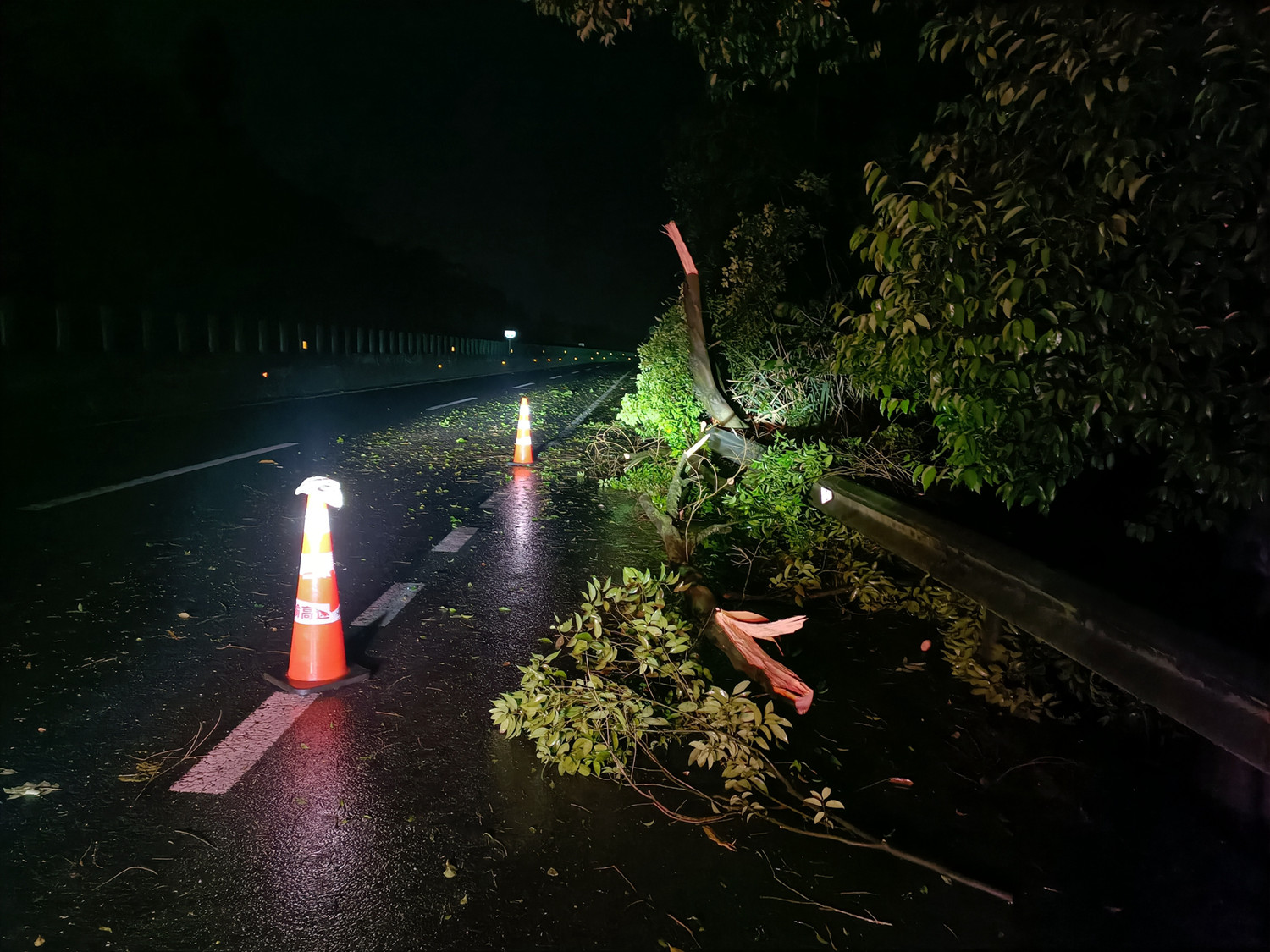 清障除隐患 保畅护路安——成渝分公司积极应对恶劣天气