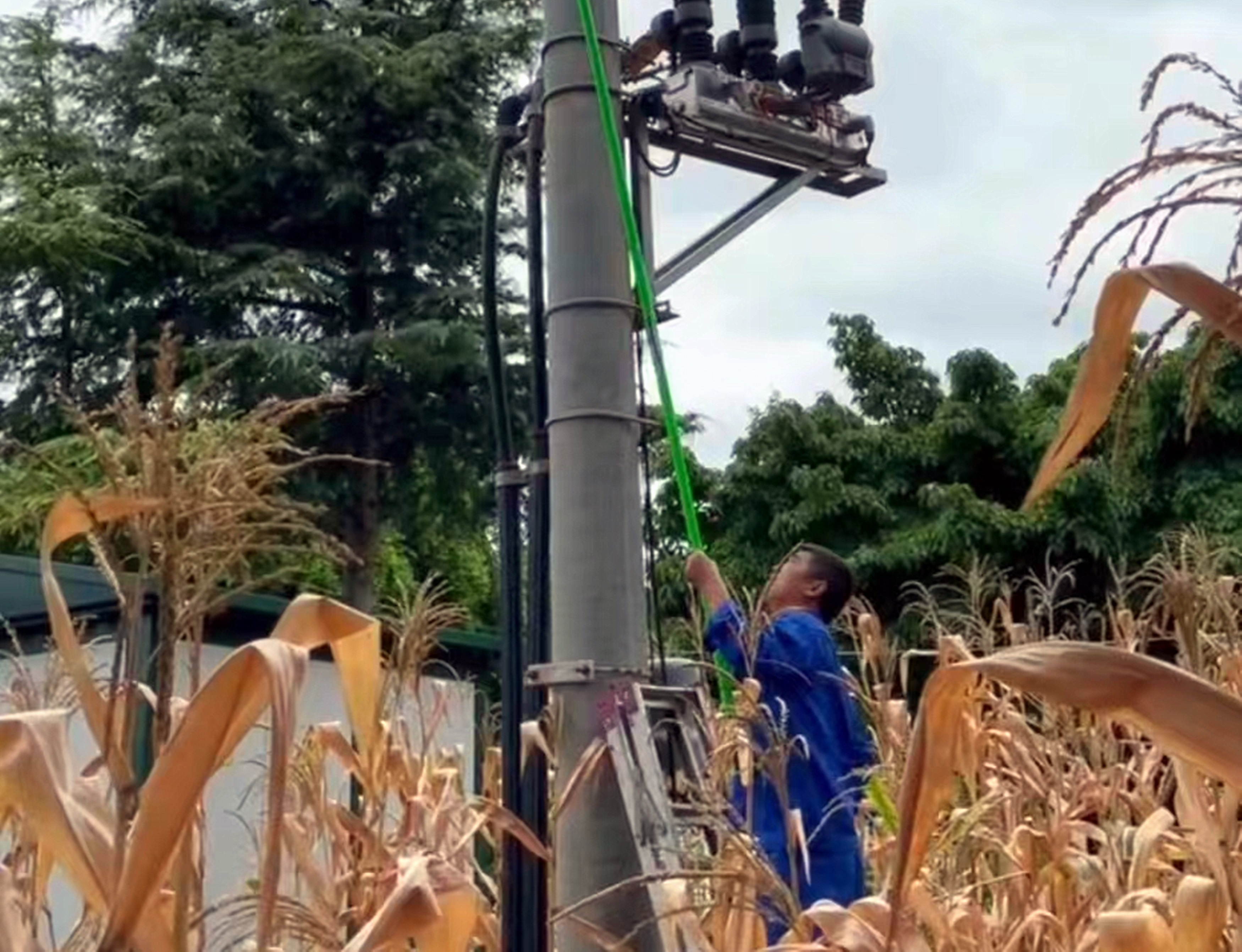 成都管理处及时处置高压线保险故障