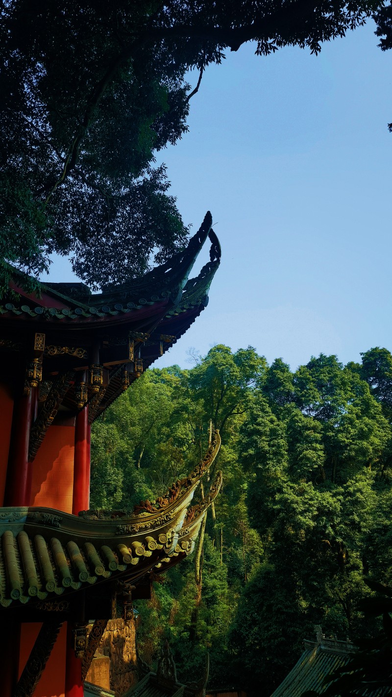 林中寺庙+王琴+成都管理处