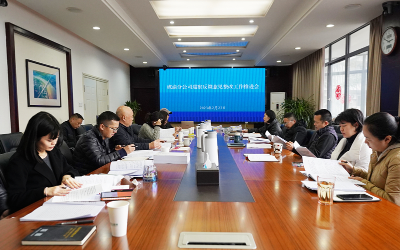 成渝分公司组织召开巡察反馈意见整改工作推进会