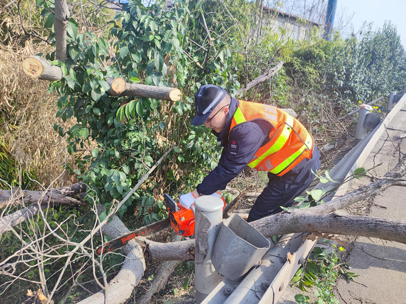 2.27+陶磊+成都管理处路产管护及时清理倒伏树木