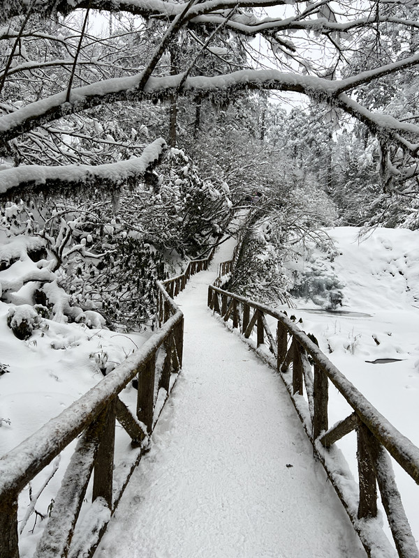 115、雪中桥+四川成渝高速公路股份有限公司成渝分公司资阳管理处+容易_副本