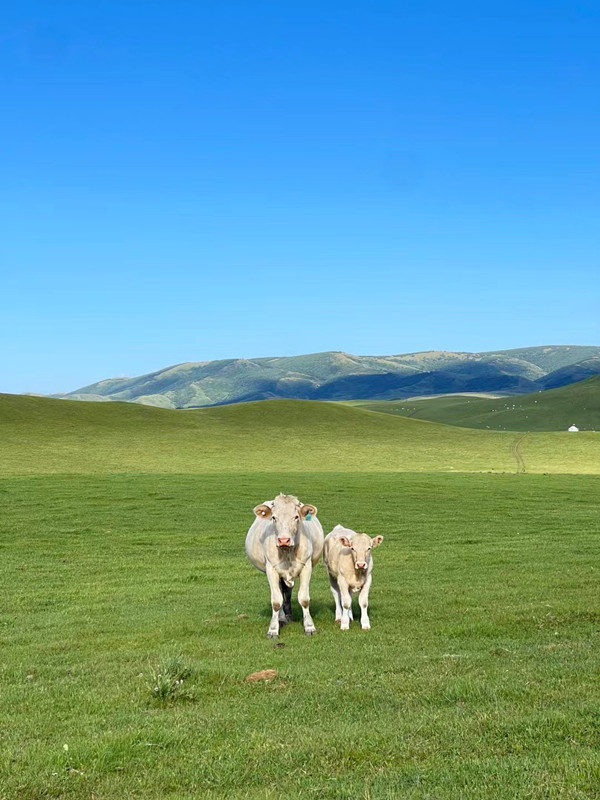 母女俩-四川成渝高速公路股份有限公司成渝分公司张家彬_副本