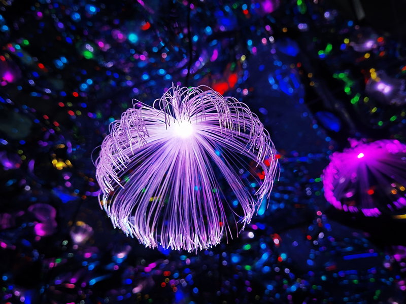 109、熠熠生辉+四川成渝高速公路股份有限公司成渝分公司资阳管理处+邹丽_副本