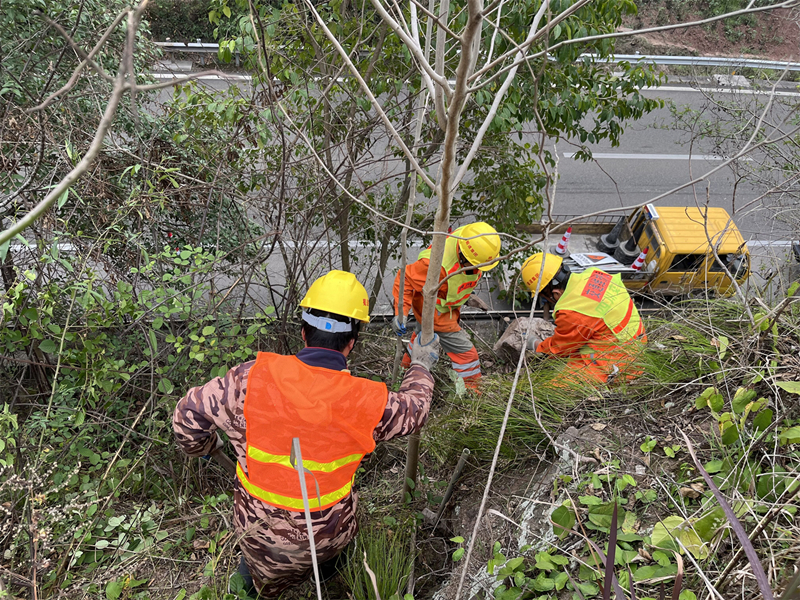 内江管理处完成边坡落石清理工作