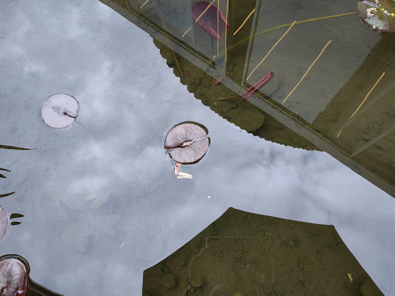 初春+四川成渝高速公路股份有限公司成渝分公司资阳管理处+黄旭鹰_副本