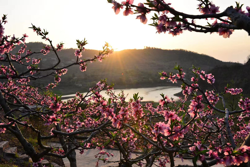 晨光——四川成渝高速公路股份有限公司成渝分公司处陈小林_副本