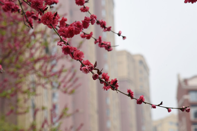 265、梅香+四川成渝高速公路股份有限公司成渝分公司资阳管理处+王燕_副本