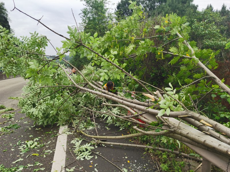 资阳管理处及时处置道路违法行为