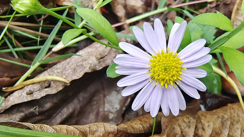 孤——四川成渝高速公路股份有限公司成渝分公司彭丹_副本