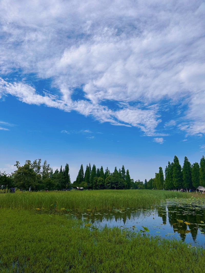 碧天一色+四川成渝高速公路股份有限公司成渝分公司资阳管理处+孙沛