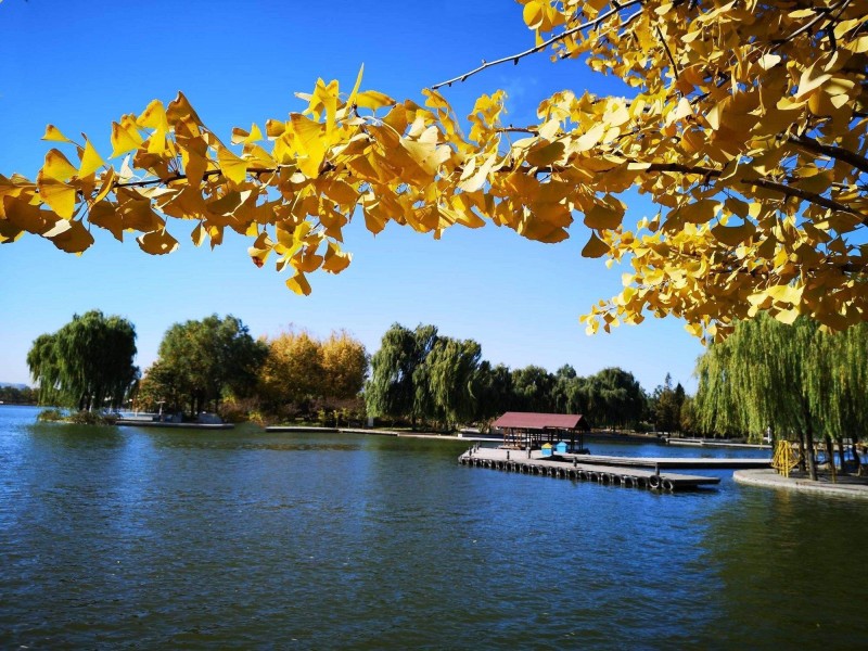 湖之秋+成都管理处+熊维平