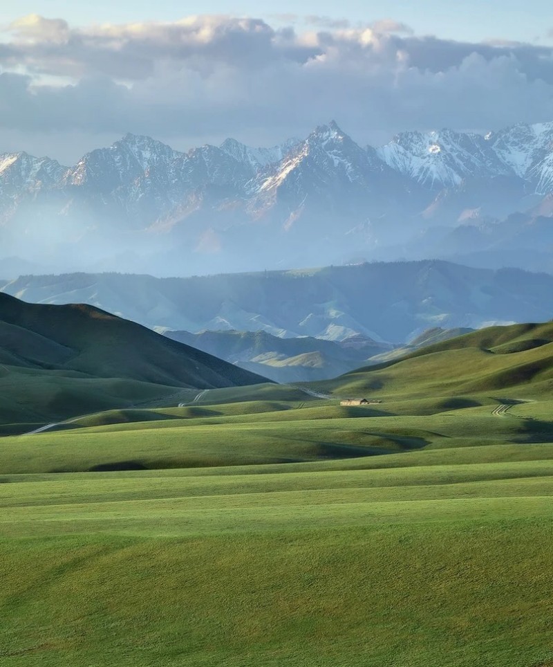 田园牧歌+成都管理处+李玉兰