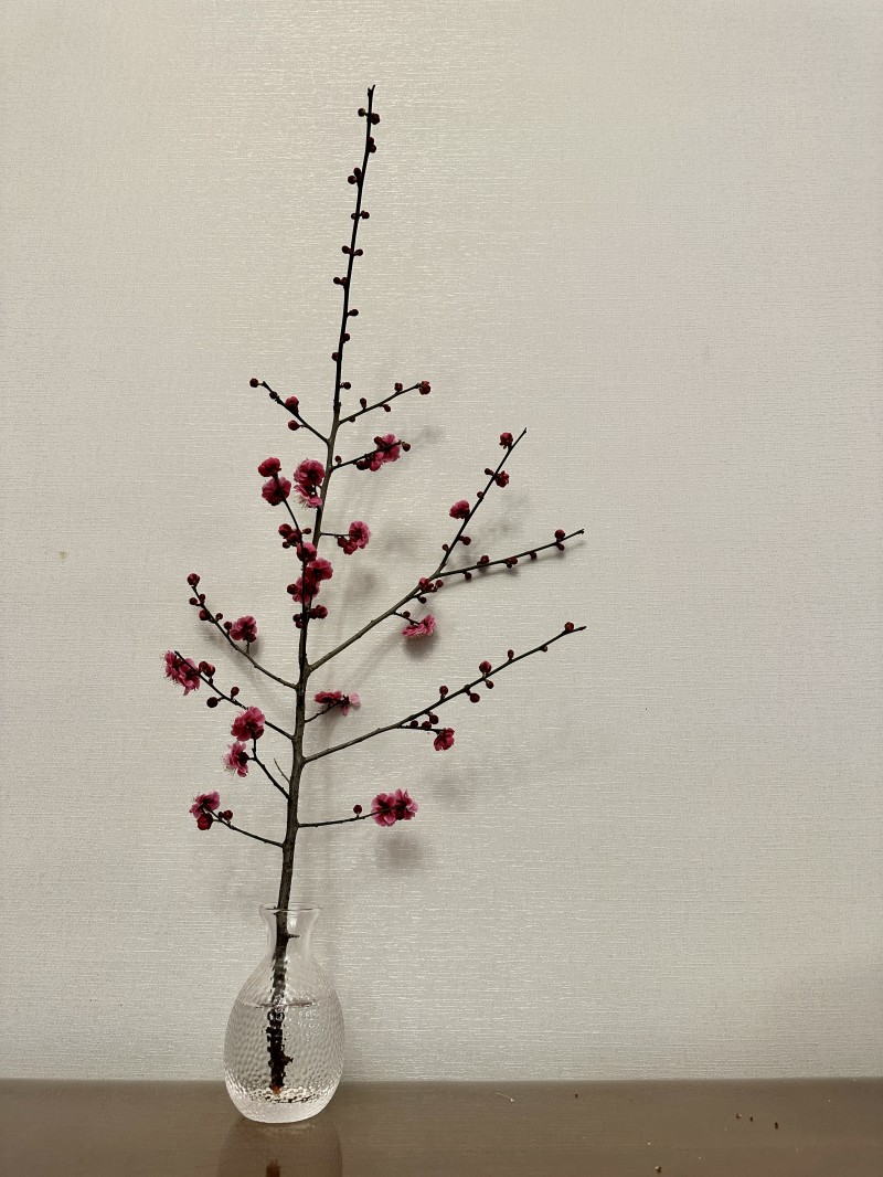 如画红梅——四川成渝高速公路股份有限公司成渝分公司 孙东华