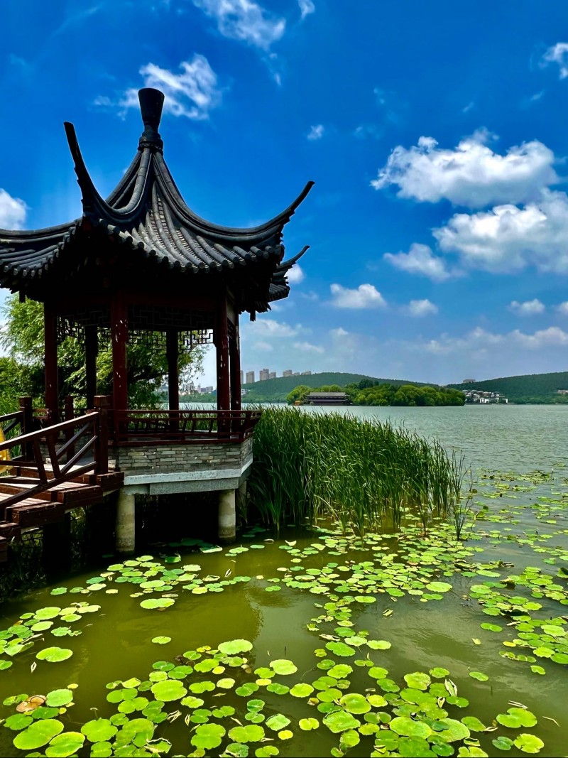 公园小亭+成都管理处+熊维平