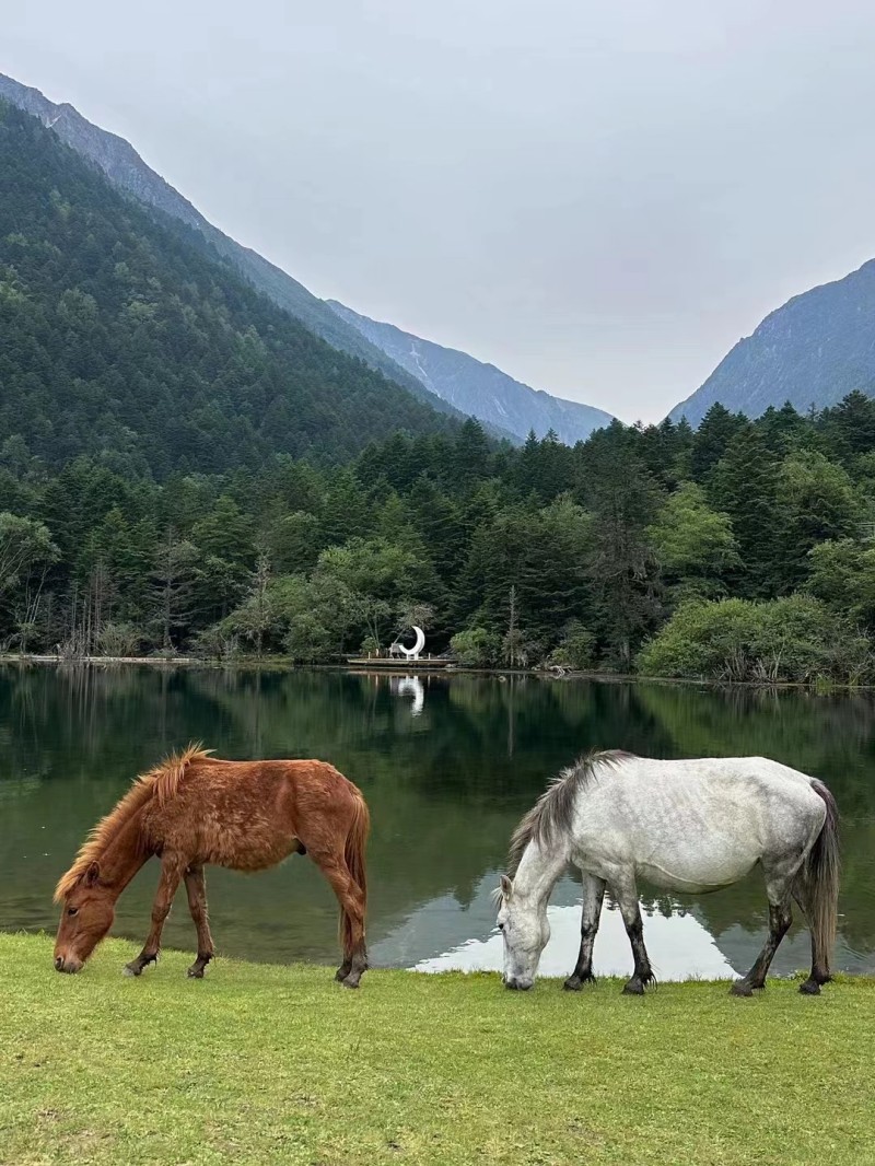 马+成都管理处+刘城辰
