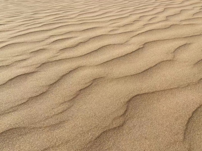 沙浪+成都管理处+廖琴