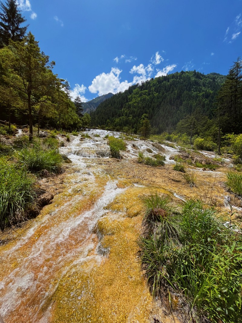 别用洞天+四川成渝高速公路股份有限公司成渝分公司资阳管理处+陈璐