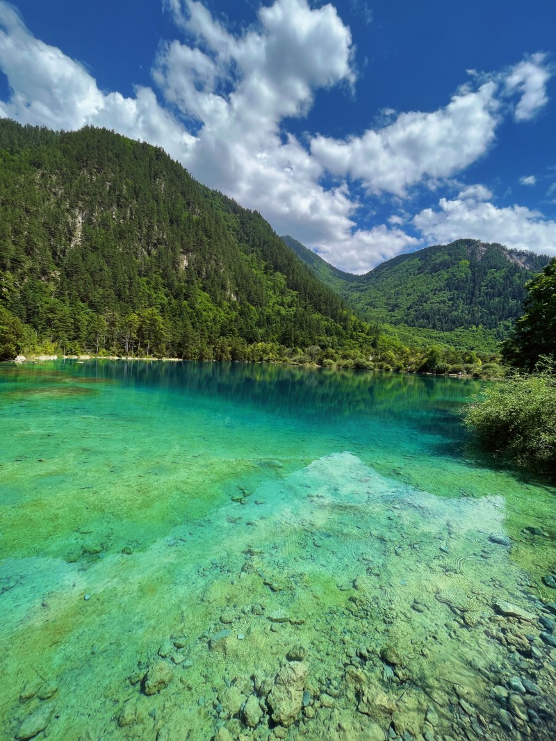 青山绿水+四川成渝高速公路股份有限公司资阳管理处+陈璐