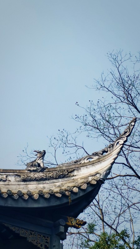 古楼一角+成都管理处+方媛