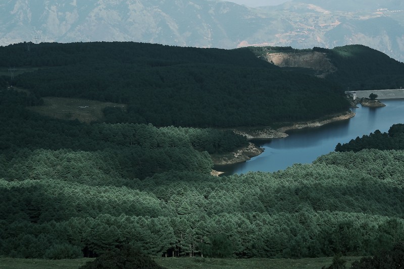 鸟吊山+成都管理处+宋庆