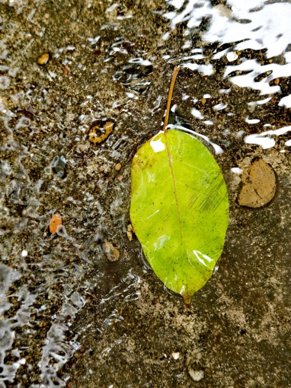 随波逐流+四川成渝高速公路股份有限公司成渝分公司资阳管理处+邹丽