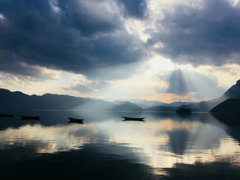 照射+成都管理处+陈鑫