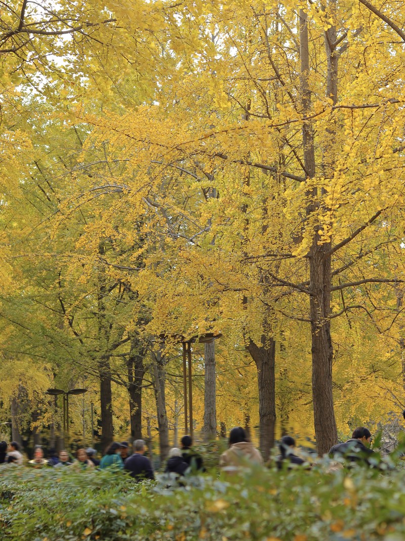 初冬——四川成渝高速公路股份有限公司成渝分公司伍华莉