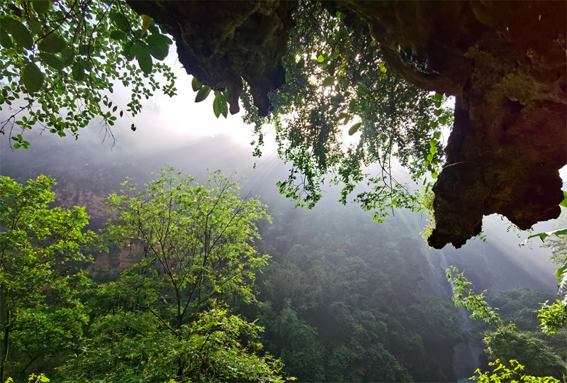 悠然见南山+四川成渝高速公路股份有限公司成渝分公司资阳管理处+刘长谊