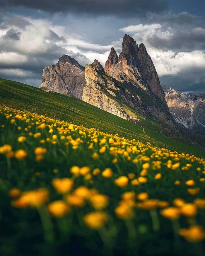 暖意+成都管理处+李敏