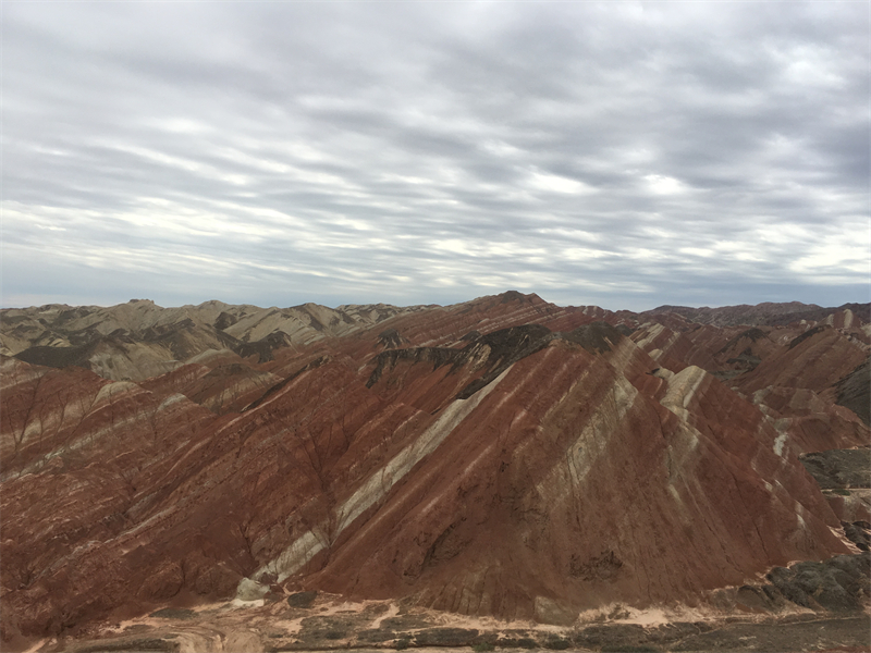 五花肉+周希+成都管理处